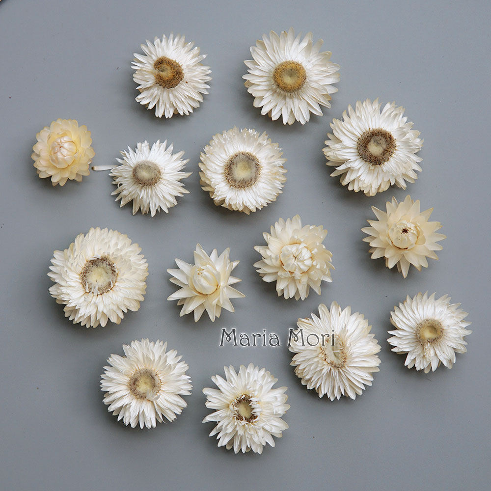 Couronne de chrysanthème color - Baby Products Expo avis et prix