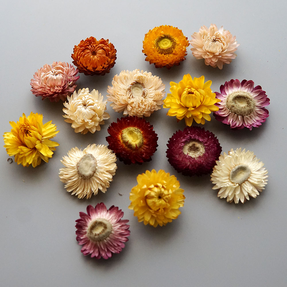 Couronne de chrysanthème color - Baby Products Expo avis et prix