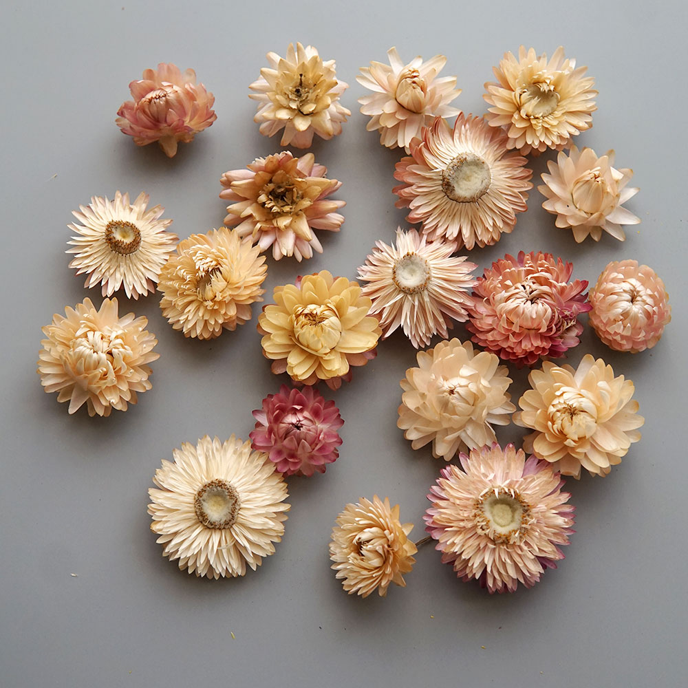 Couronne de chrysanthème color - Baby Products Expo avis et prix
