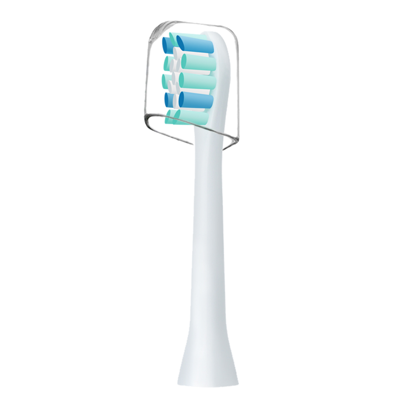 Têtes de brosse à dents de rec - Xiaomi Baby Products avis et prix
